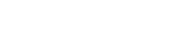 Logo Dendevs